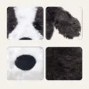 Pluto Border Collie Plush animals detail